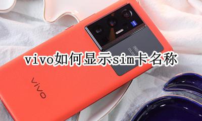 vivo如何显示sim卡名称 vivo手机怎么设置sim卡