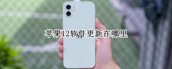 苹果12软件更新在哪里
