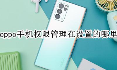oppo设置权限管理在哪里找 oppo手机权限管理在设置的哪里