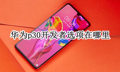 华为p30开发者选项在哪里 华为p30手机上的开发者选项在哪里