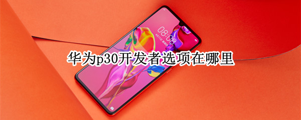 华为p30开发者选项在哪里
