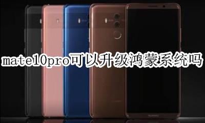 华为mate10怎么升级鸿蒙系统 mate10pro可以升级鸿蒙系统吗
