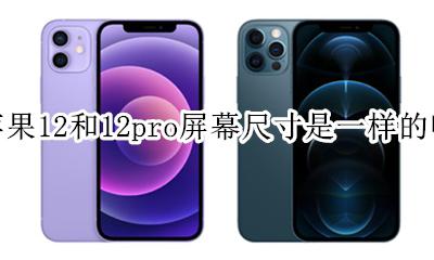 苹果12和苹果12pro尺寸一样吗 苹果12和12pro屏幕尺寸是一样的吗