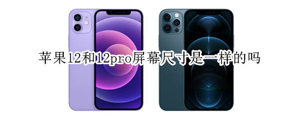 苹果12和12pro屏幕尺寸是一样的吗