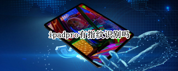 ipadpro有指纹识别吗