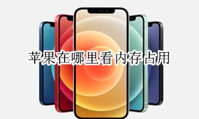 苹果在哪里看内存占用 苹果看软件占内存容量在哪看