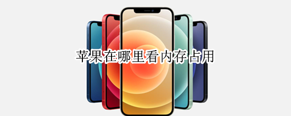 苹果在哪里看内存占用