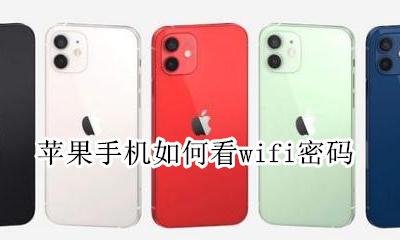 苹果手机如何看wifi密码 在苹果手机上怎么看wifi密码