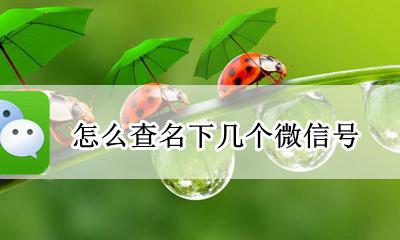 怎么查名下几个微信号 如何查自己名下几个微信号