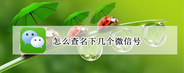 怎么查名下几个微信号