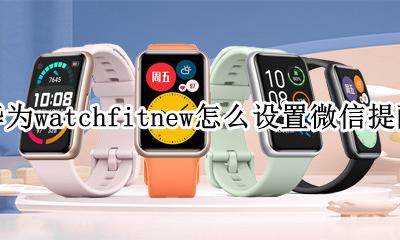 华为手表如何设置微信提醒 华为watchfitnew怎么设置微信提醒