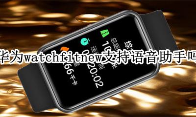 华为watchfit功能 华为watchfitnew支持语音助手吗