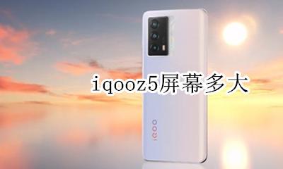 iqooz5屏幕多大 iqoo5屏幕多少寸