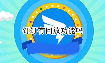 钉钉有回放功能吗 钉钉怎么设置回放