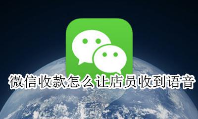 店员怎么开启微信收款语音 微信收款怎么让店员收到语音