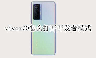 x70开发者模式在哪 vivox70怎么打开开发者模式