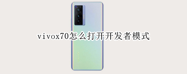 vivox70怎么打开开发者模式