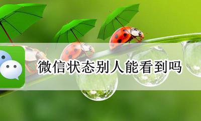 微信状态别人能看到吗 微信可以看到别人的状态吗