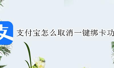 支付宝怎么取消一键绑卡功能 如何取消支付宝快速绑卡功能