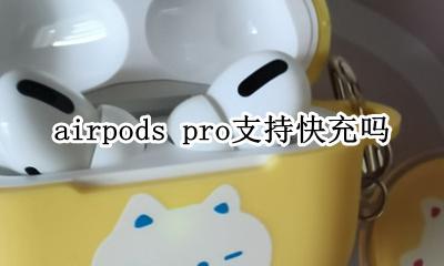 airpods pro能快充 airpods pro支持快充吗