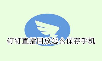 钉钉直播回放能保存吗 钉钉直播回放怎么保存手机