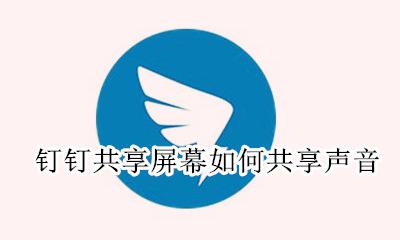 钉钉共享屏幕如何共享声音 手机钉钉屏幕共享怎么共享视频声音