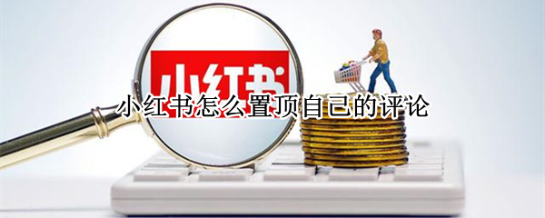 小红书怎么置顶自己的评论