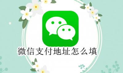 微信支付地址怎么填 微信支付方式在哪里