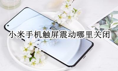 小米手机触屏震动哪里关闭 小米手机触屏时震动怎么取消