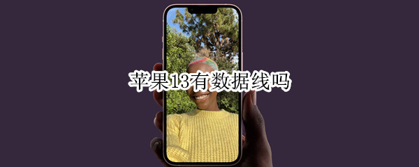 苹果13有数据线吗