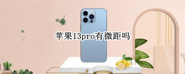 苹果13pro有微距吗