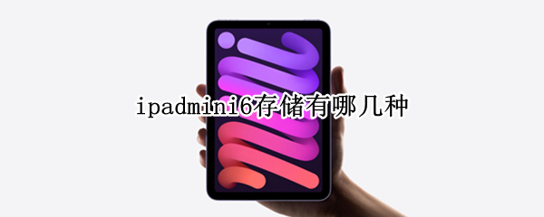 ipadmini6存储有哪几种