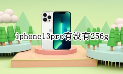 iphone13pro有没有256g iphone13pro有没有高刷新率