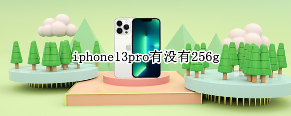 iphone13pro有没有256g