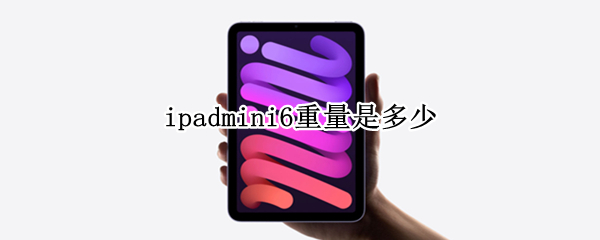 ipadmini6重量是多少