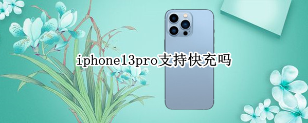 iphone13pro支持快充吗