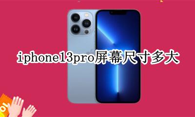 iphone13pro屏幕尺寸多大 iphone13promax屏幕尺寸多大