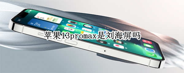 苹果13promax是刘海屏吗