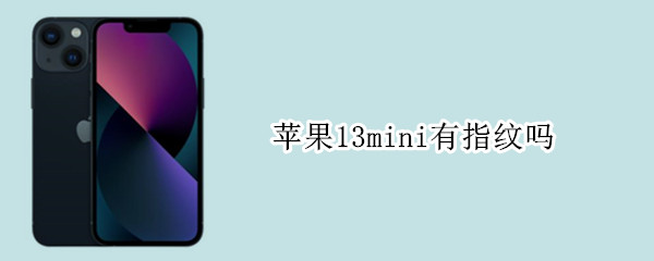 苹果13mini有指纹吗