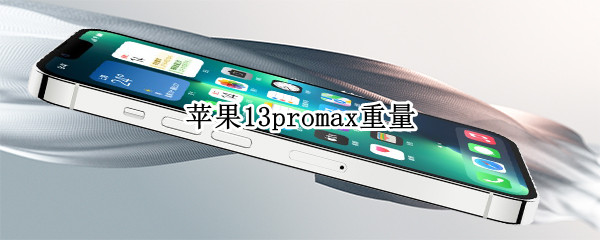 苹果13promax重量