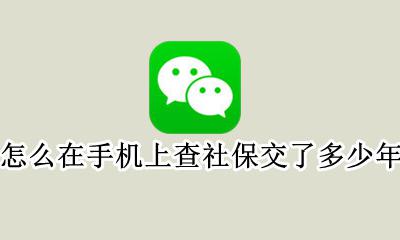 怎么在手机上查社保交了多少年 怎样在手机上查自己的社保交了几年