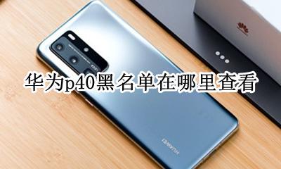 华为p40黑名单在哪里查看 华为p40通讯录黑名单在哪里可以看
