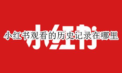 小红书可以查看历史记录吗 小红书观看的历史记录在哪里