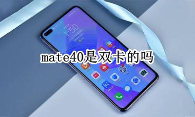 mate40是双卡的吗 mate40标准版是双卡双待吗