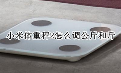 小米体重秤2怎么调公斤和斤 小米秤2怎么显示斤而不是公斤