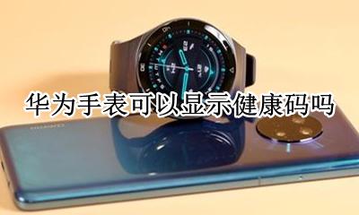 能显示健康码的手表 华为手表可以显示健康码吗