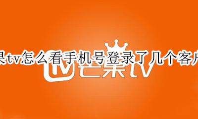 自己的芒果tv账号在哪里查看 芒果tv怎么看手机号登录了几个客户端