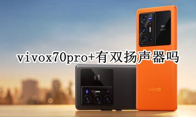 vivox70pro+有双扬声器吗 vivox70pro单扬声器够用吗