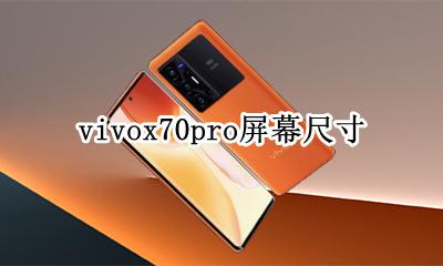 vivox70pro屏幕尺寸 vivoy70s屏幕多大尺寸