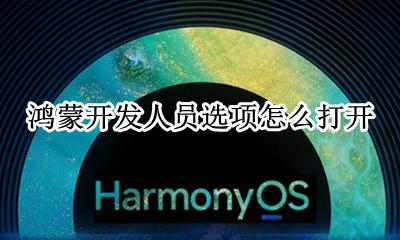 鸿蒙系统操作 鸿蒙开发人员选项怎么打开